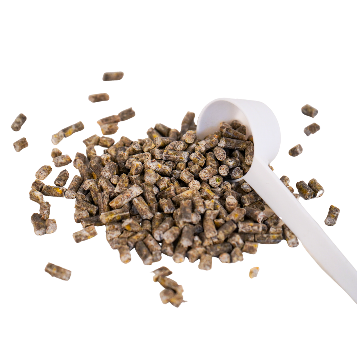Schröder Premium Kieselgur 4 kg