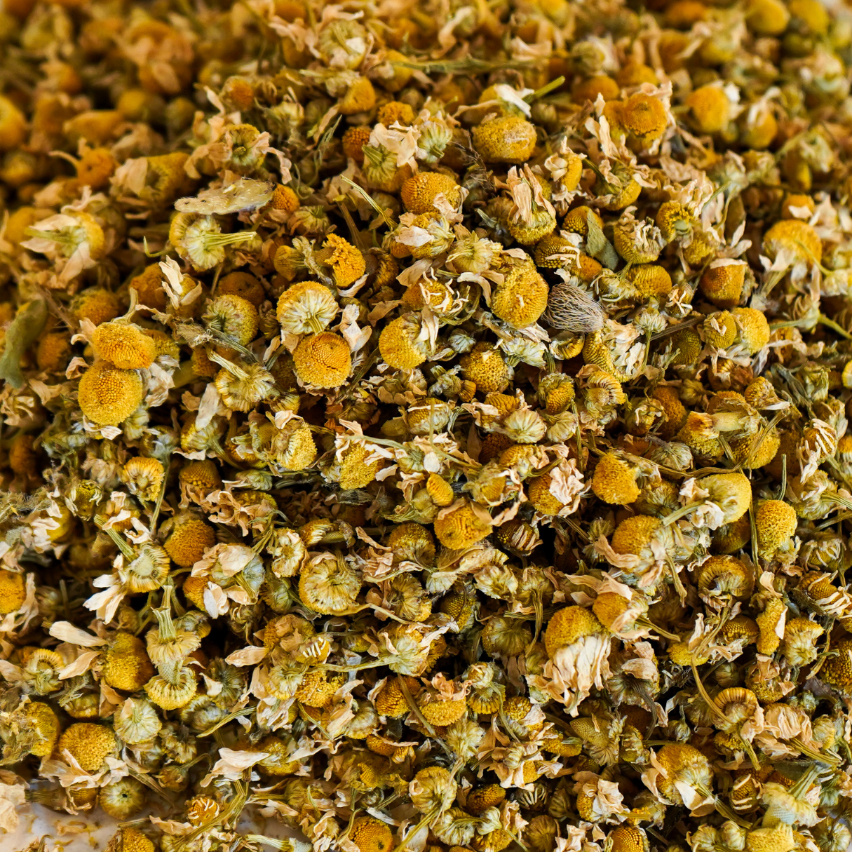 Schröder Premium Kamillenblüten 1kg