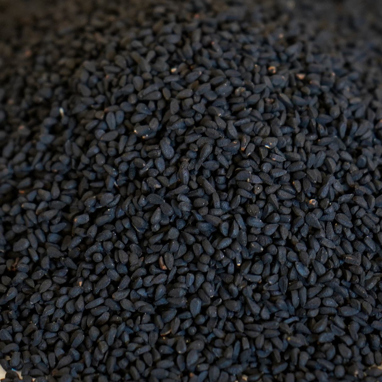 Schröder Premium Schwarzkümmel 1 kg