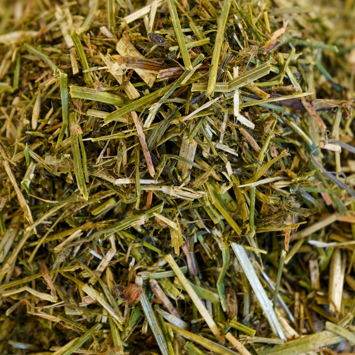 Luzernehäcksel 1kg