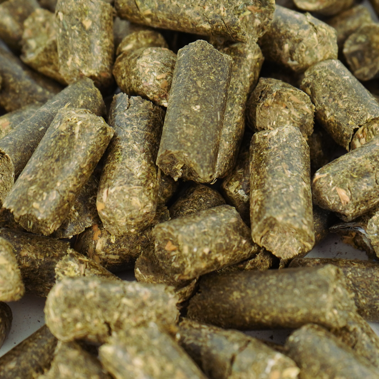 Schröder Heucobs (zum trocken verfüttern geeignet*)