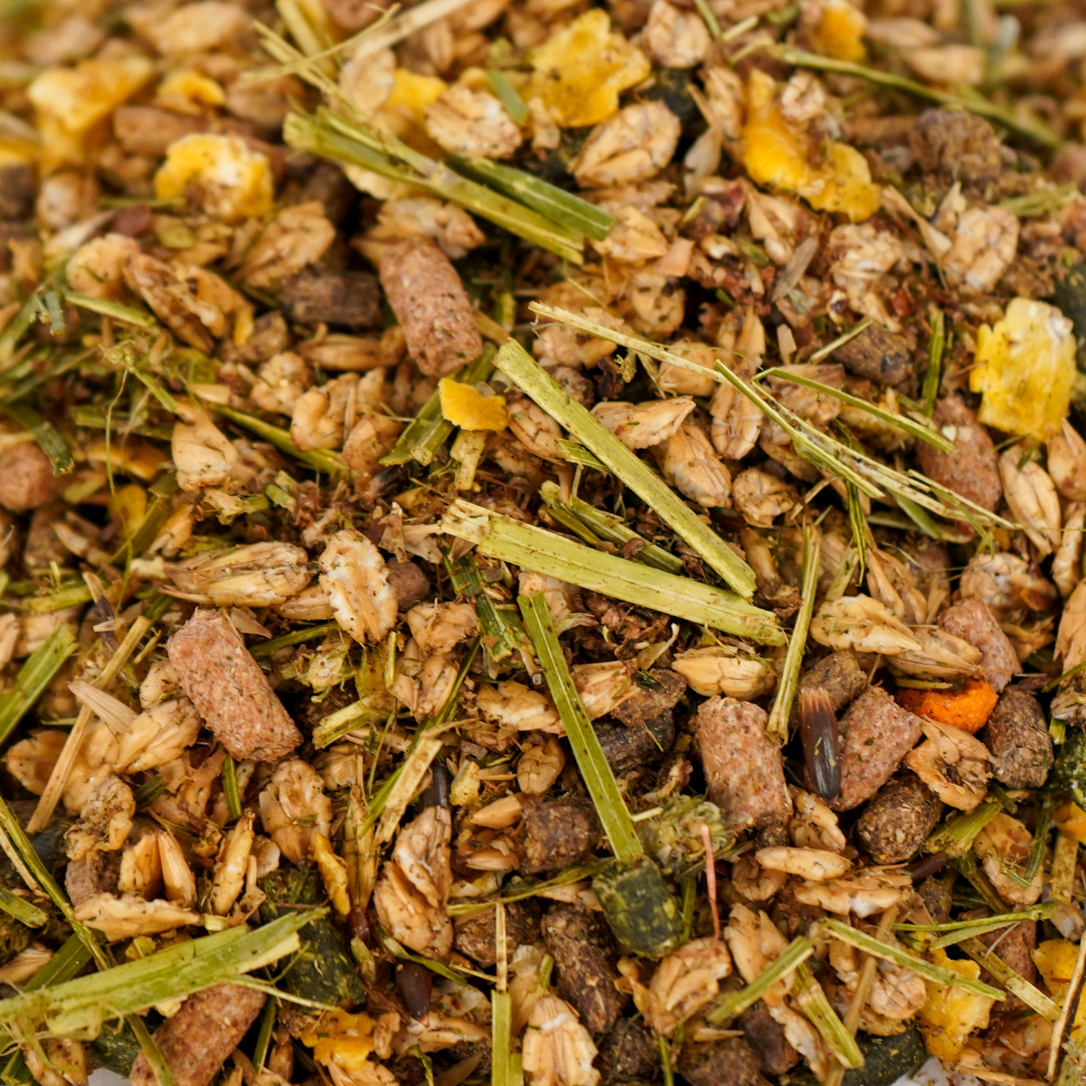 Schröder Premium Senior Müsli