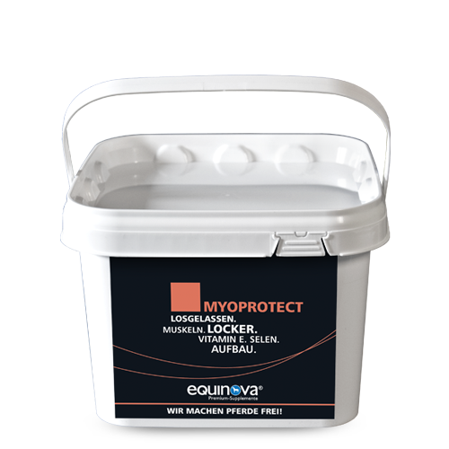 equinova Myoprotect Powder 1,5 Kg