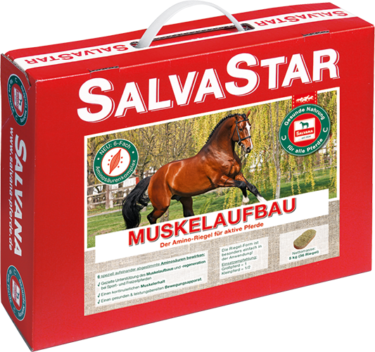 Salvana Muskelaufbau 5,0 kg