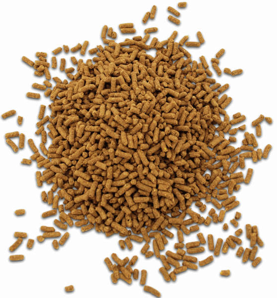 Dodson & Horrell Build & Glow 18 kg