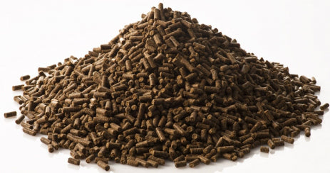 St.Hippolyt Hefekultur 1 Kg