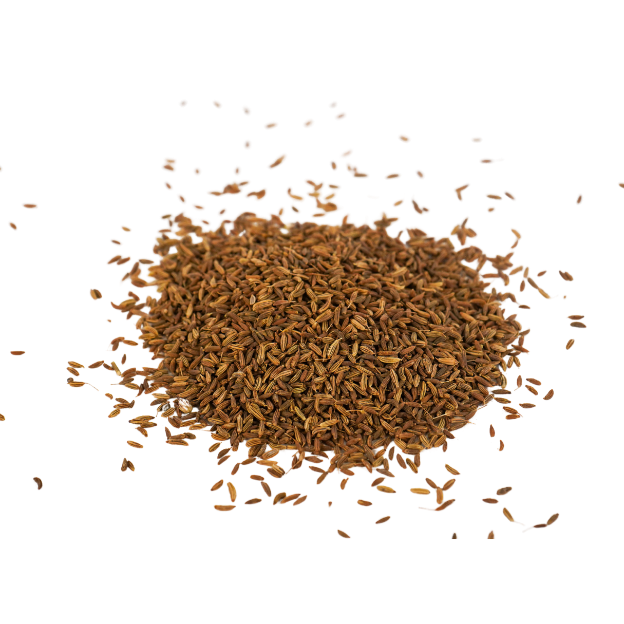 Schröder Premium Fenchel 1 kg