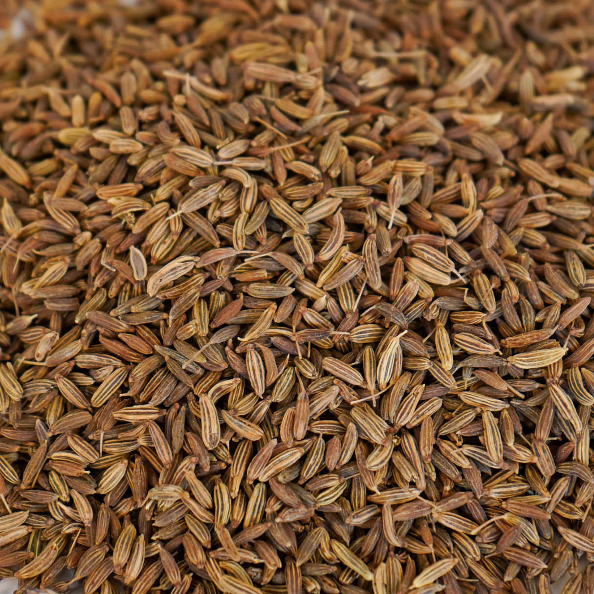 Schröder Premium Fenchel 1 kg