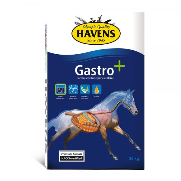 Havens Gastro Plus 20 Kg