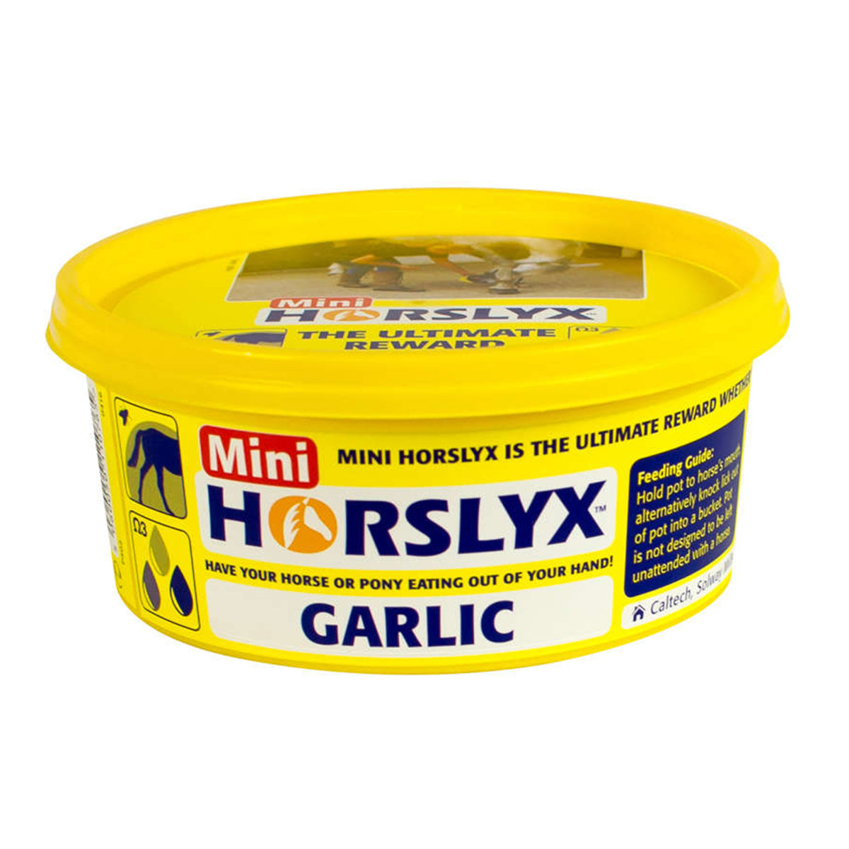 Horslyx Garlic