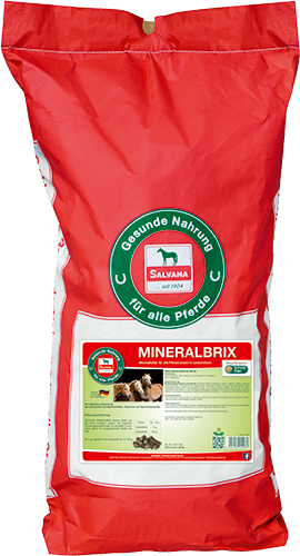 Salvana Mineralbrix 25 kg