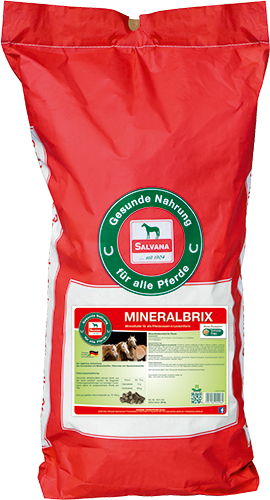 Salvana Mineralbrix 25 kg