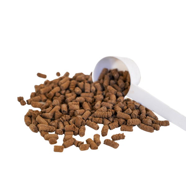 Schröder Premium Teufelskralle Pellet 1 kg