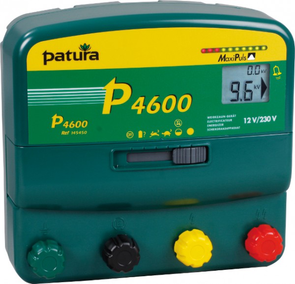 P4600, Multifunktions-Gerät, 230V/12V mit verzinkter Tragebox