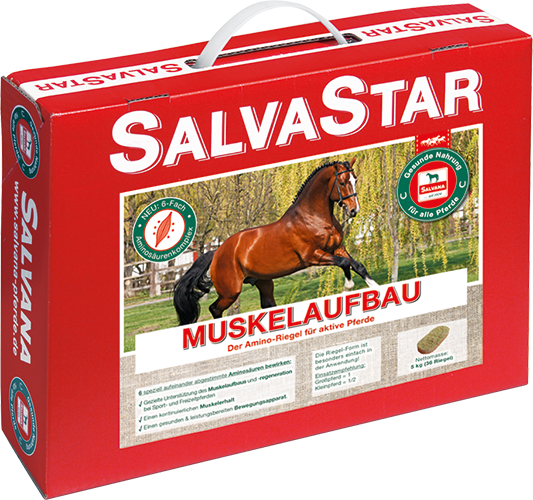 Salvana Muskelaufbau 5,0 kg