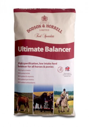 Dodson & Horrell Ultimate Balancer 20 kg