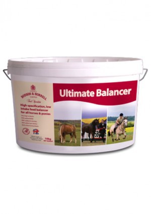 Dodson & Horrell Ultimate Balancer 10 kg