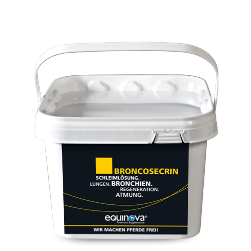 equinova Broncosecrin Powder