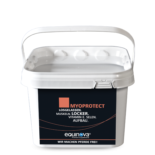 equinova Myoprotect Powder 1,5 Kg