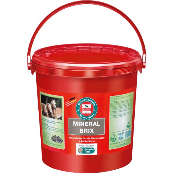 Salvana Mineralbrix 8 kg