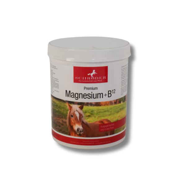 Schröder Premium Magnesium + B12 1 kg